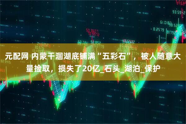 元配网 内蒙干涸湖底铺满“五彩石”，被人随意大量捡取，损失了20亿_石头_湖泊_保护