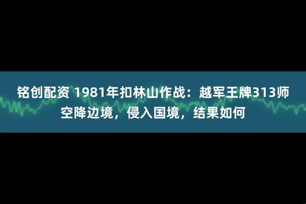 铭创配资 1981年扣林山作战：越军王牌313师空降边境，侵入国境，结果如何